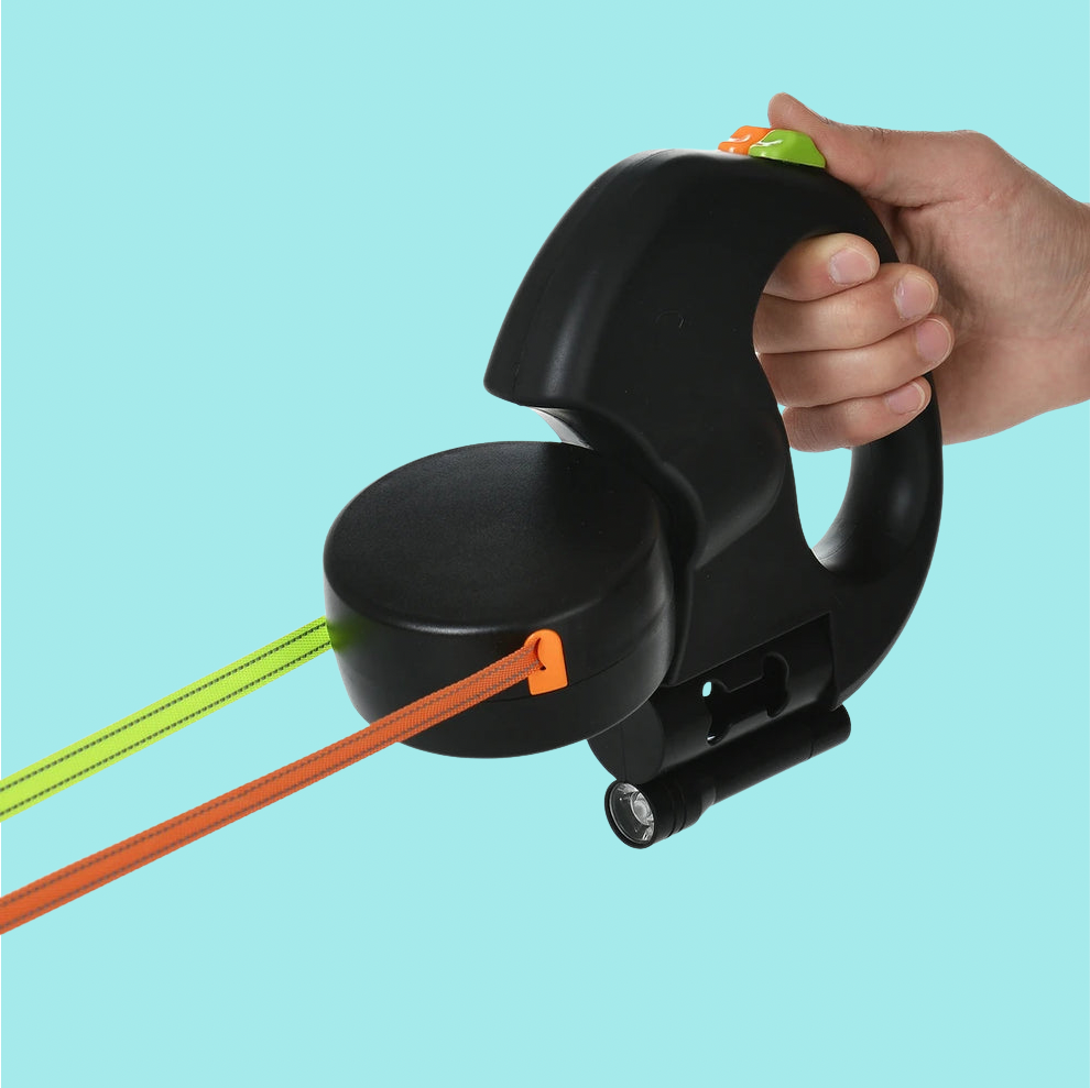 Double laisse rétractable